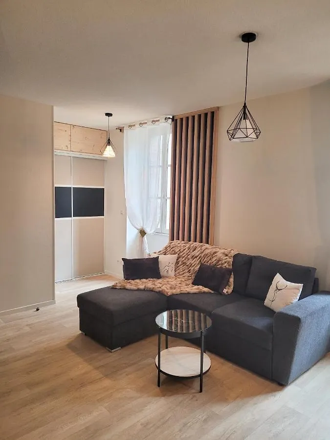 Tres Bel Appartement T3 Hyper Centre Entierement Renove En 2022 吕兹-圣索沃尔 0*,